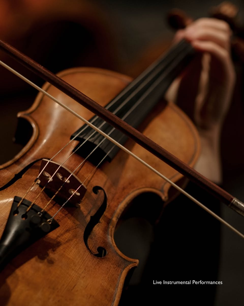 Close-up of a violin for live instrumental performances at Paragon