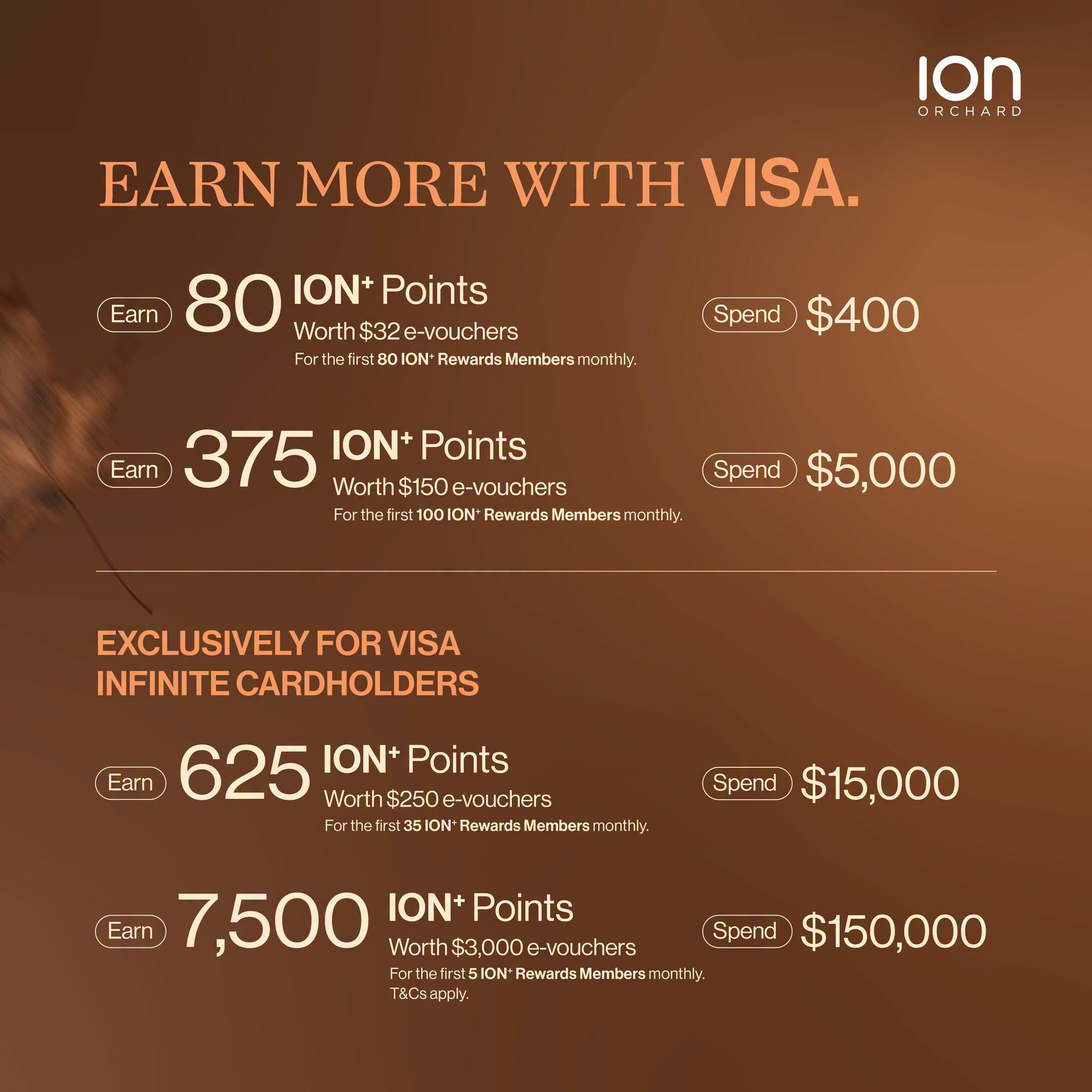 ION Orchard VSA Infinite Cardholder rewards