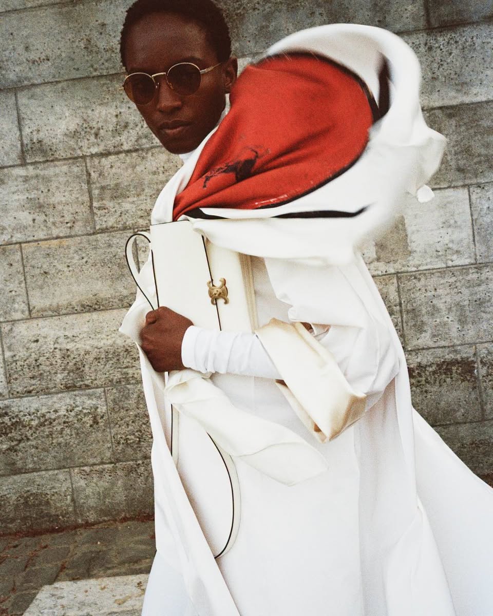 CELINE The 17 handbag