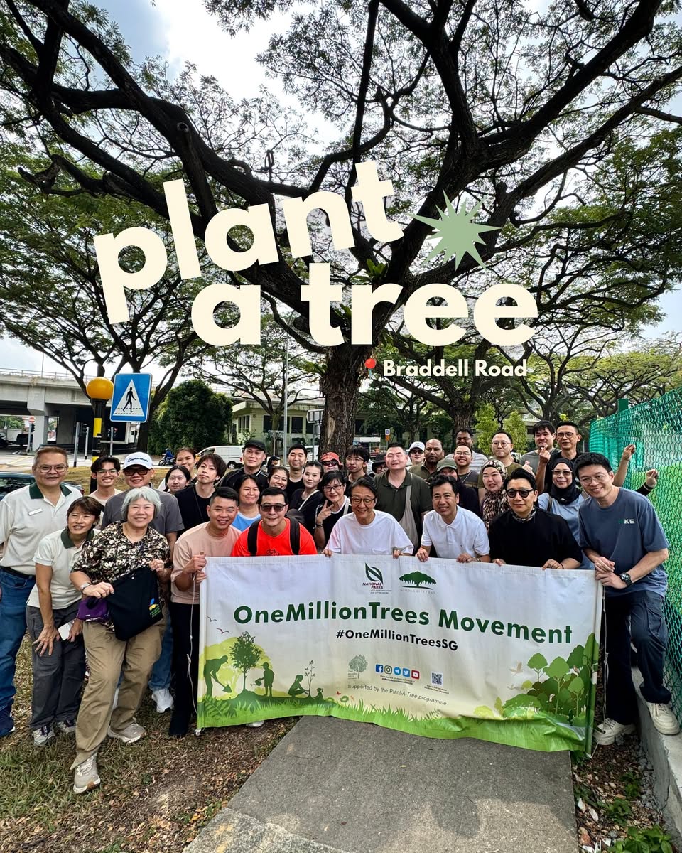 Tree planting activity along Braddell Road under the OneMillionTrees movement