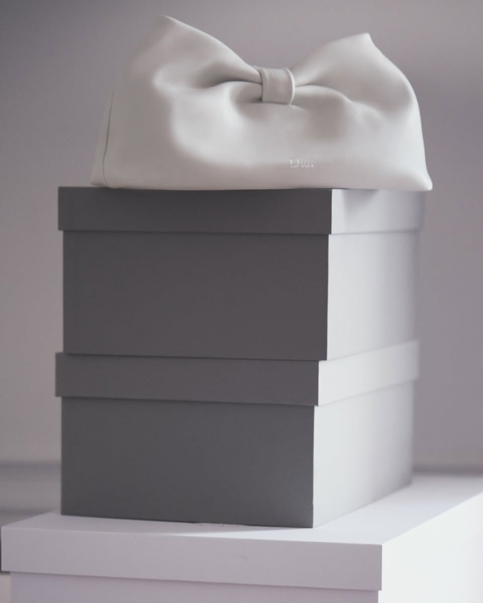 Dior Spring/Summer 2026 collection showcase