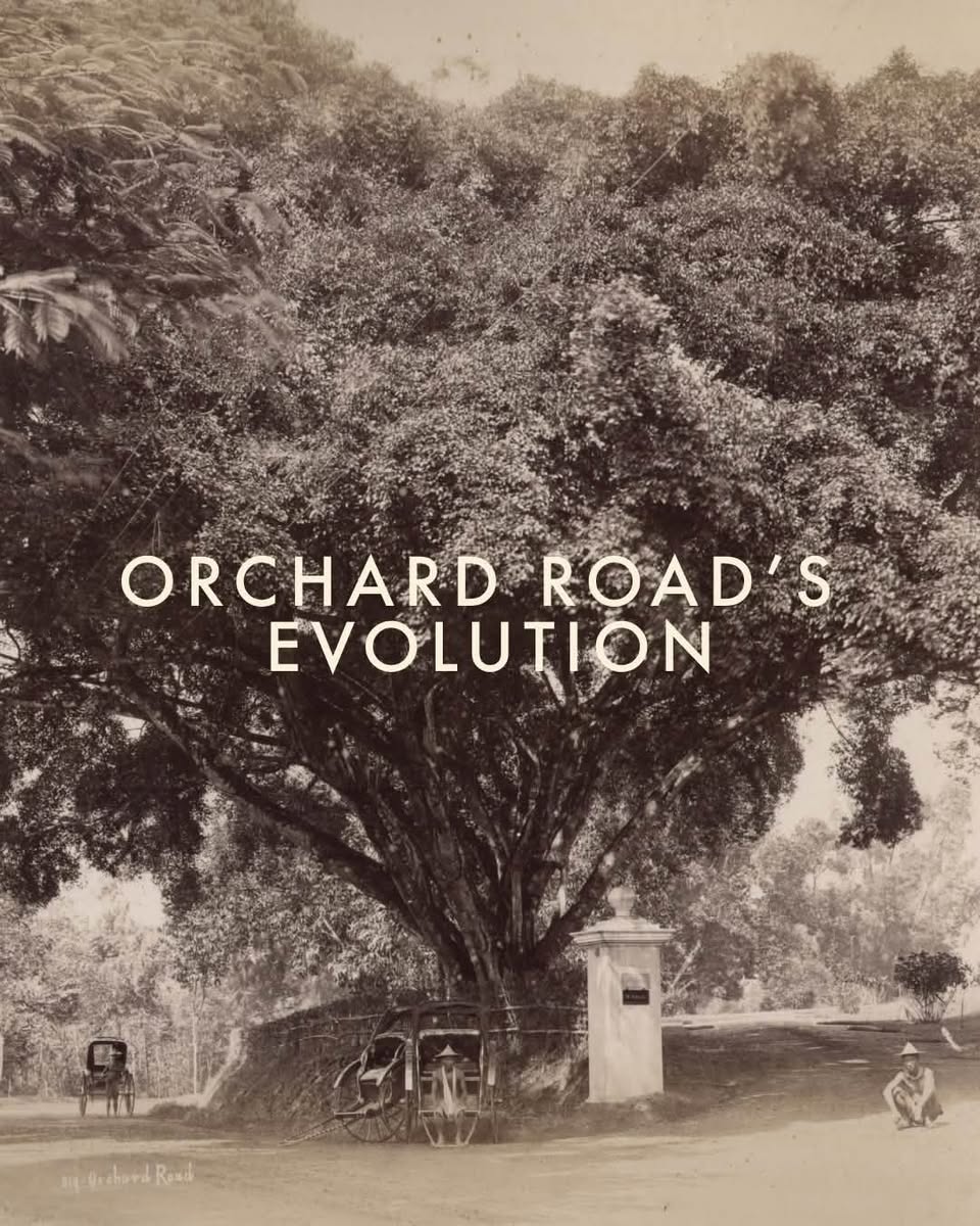 Paragon Traces Orchard Road's Evolution From Plantations to Iconic Mall