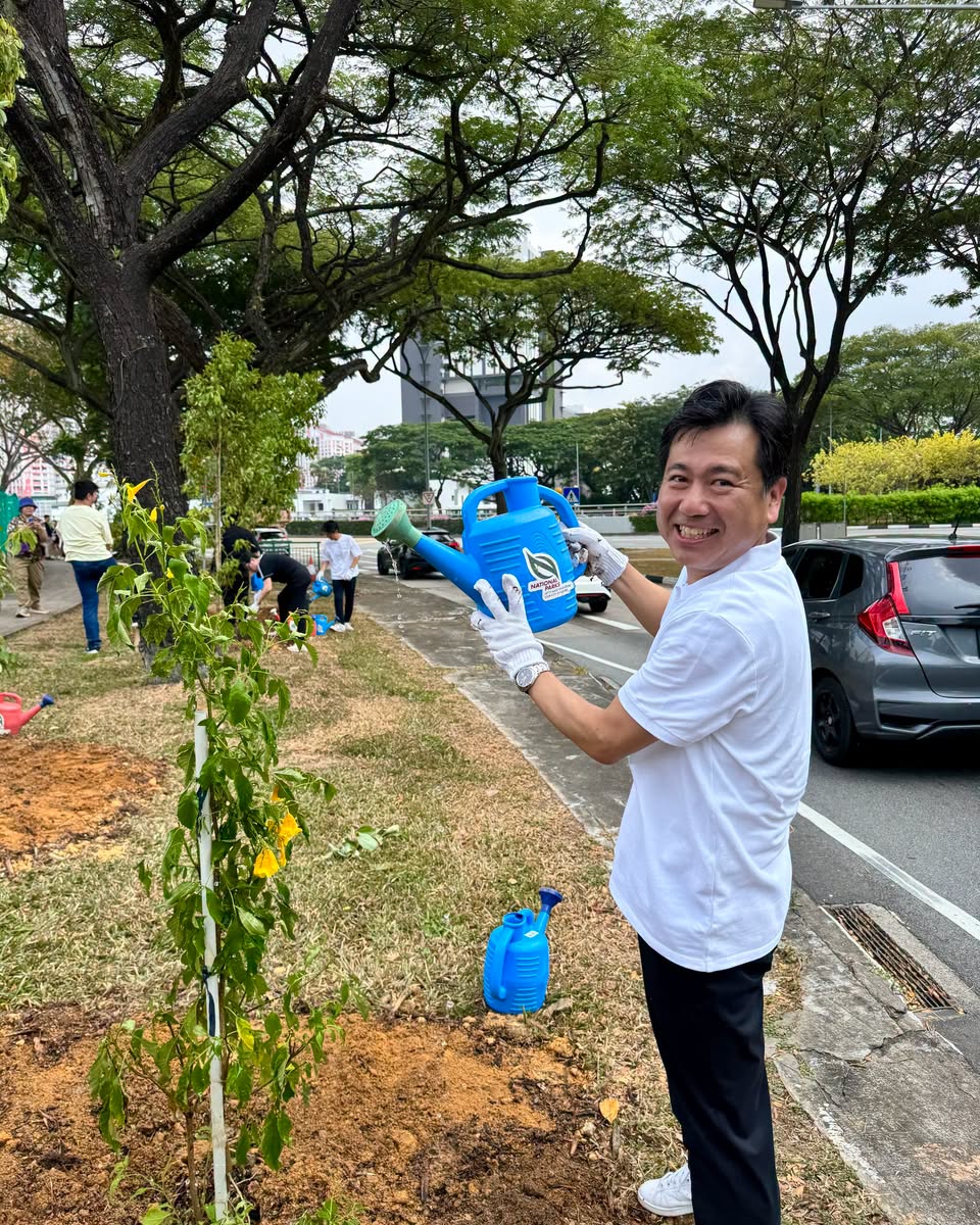 Volunteer watering a newly planted tree by the roadside