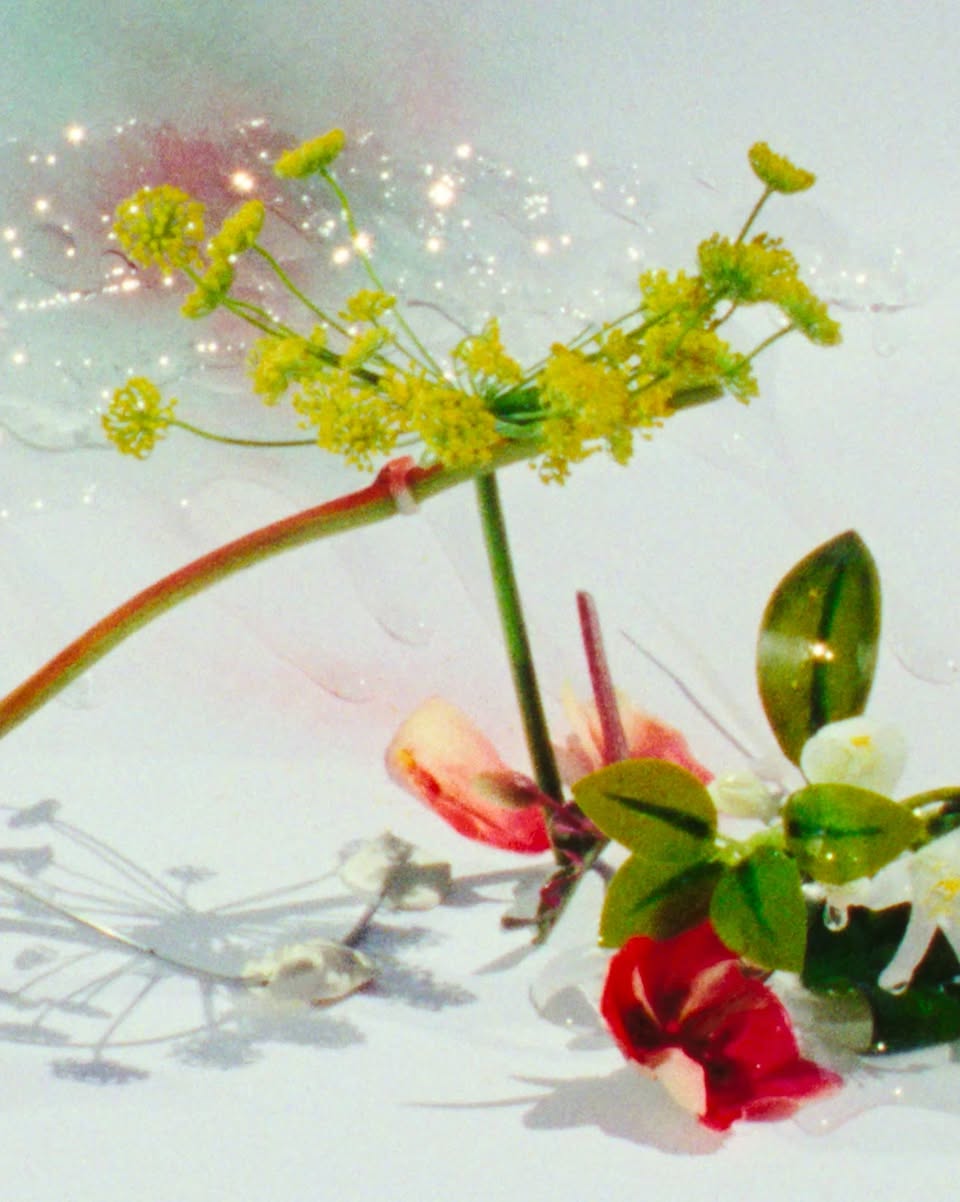 BYREDO Future Memories campaign visual