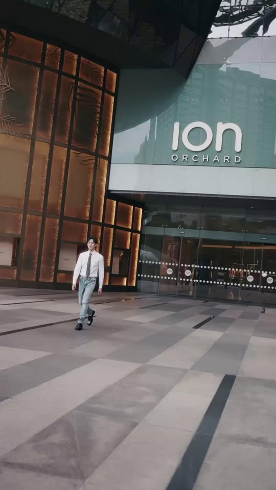 ION+ Points rebate promotion details