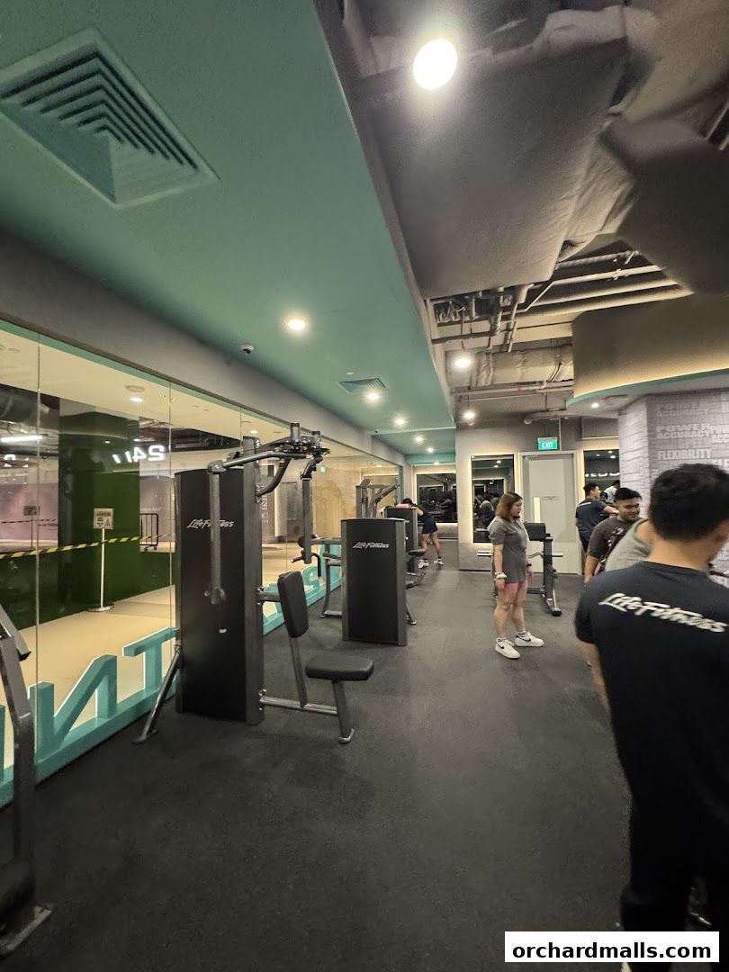 247 FITNESS The Cathay