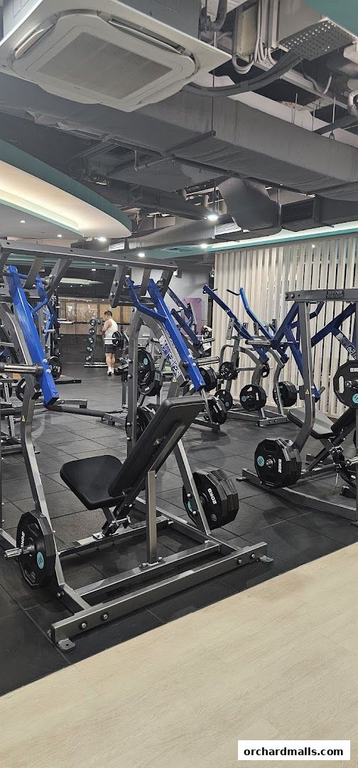 247 FITNESS The Cathay