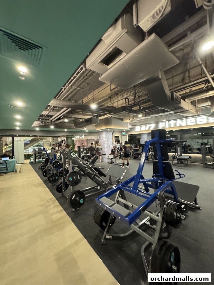 247 FITNESS The Cathay