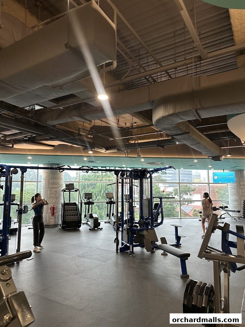 247 FITNESS The Cathay