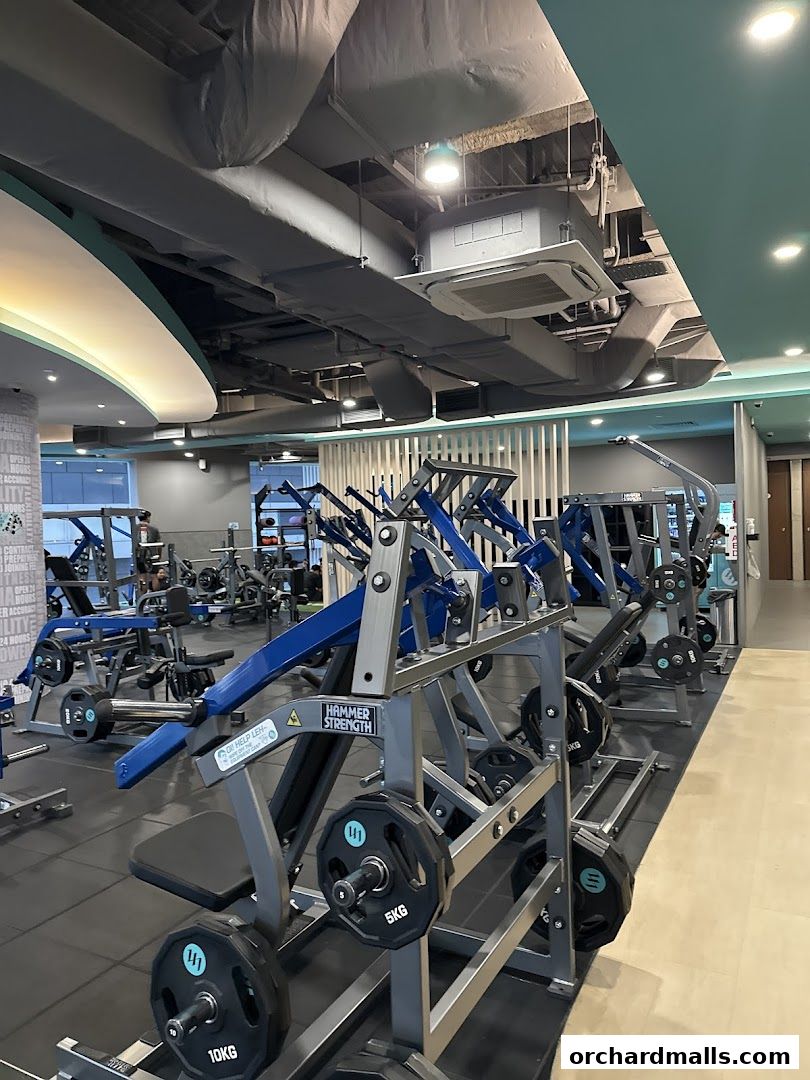 247 FITNESS The Cathay