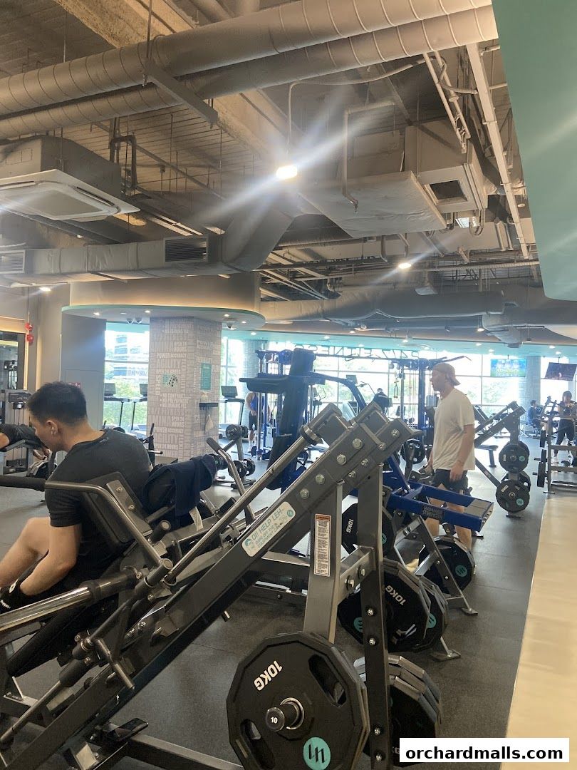 247 FITNESS The Cathay