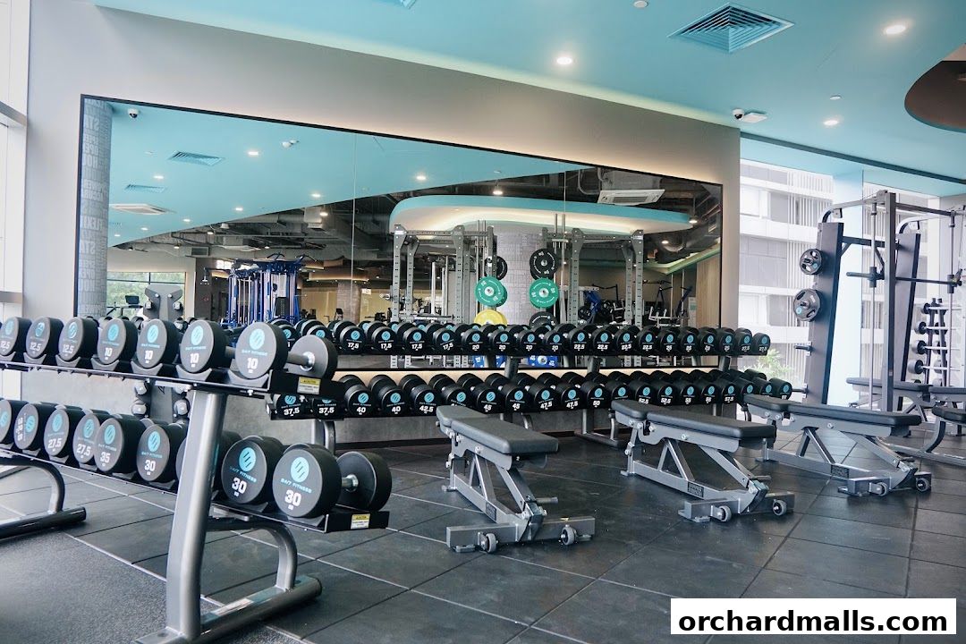 247 FITNESS The Cathay