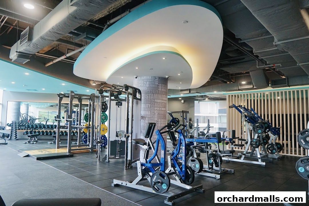 247 FITNESS The Cathay