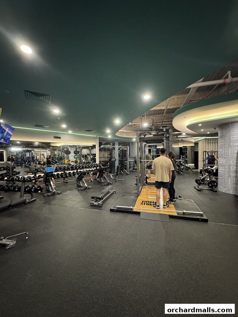 247 FITNESS The Cathay