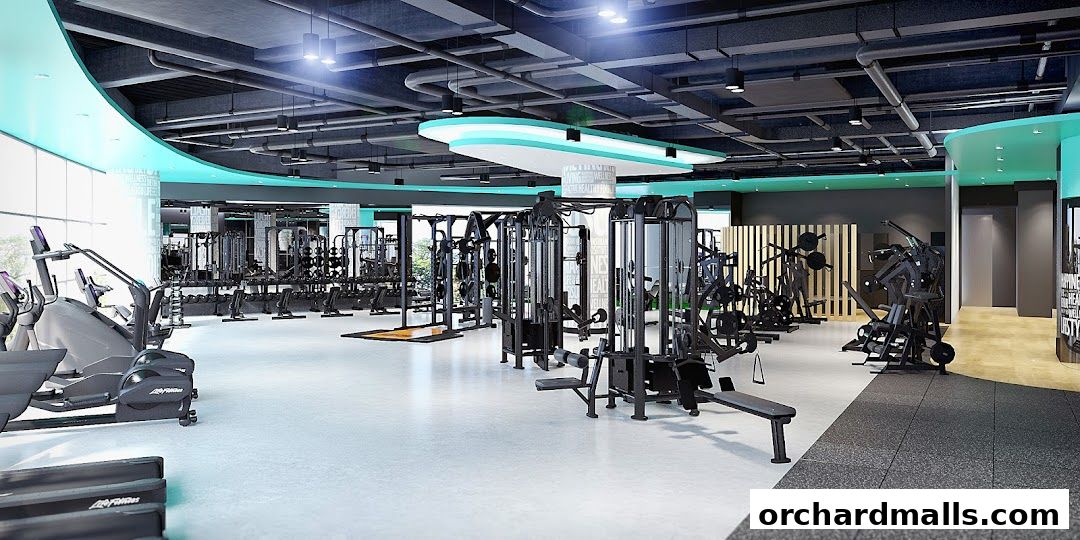 247 FITNESS The Cathay