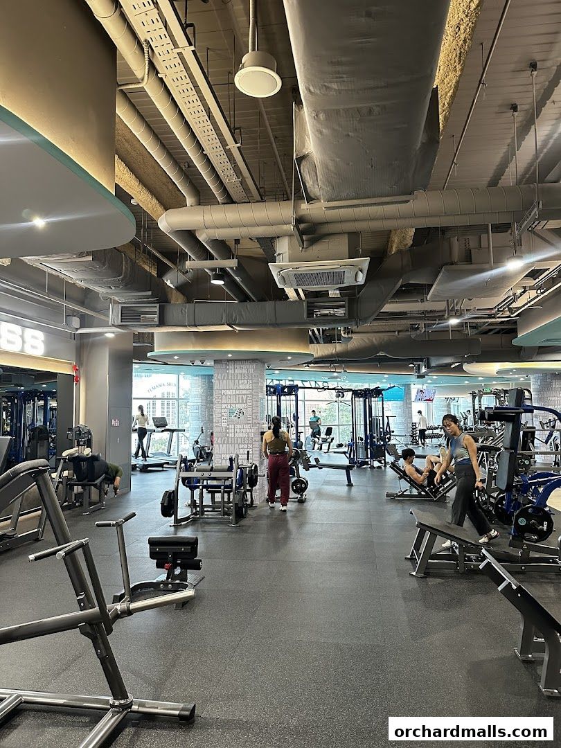 247 FITNESS The Cathay