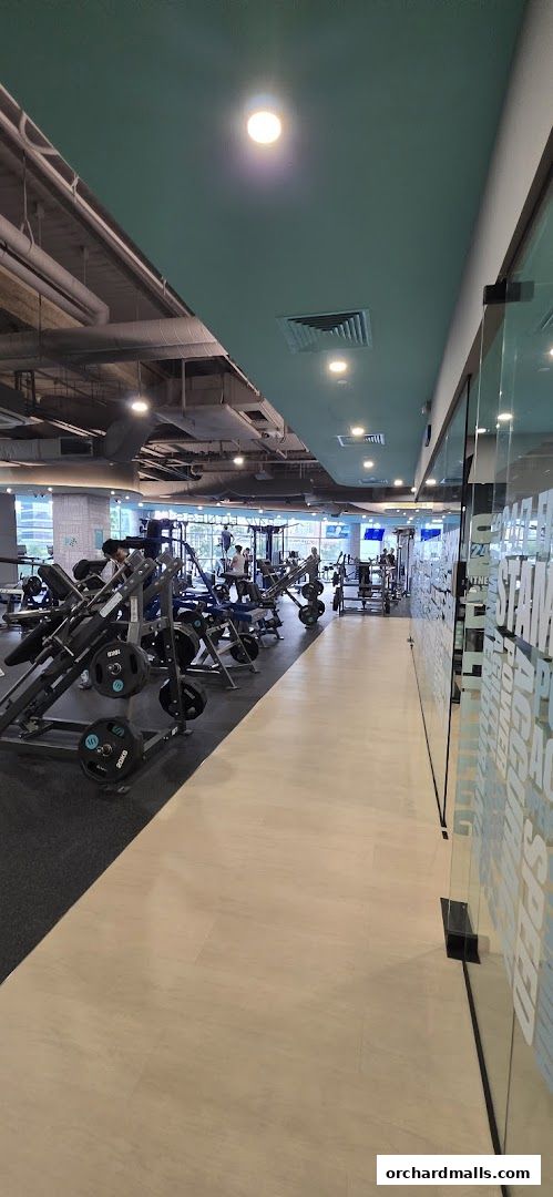 247 FITNESS The Cathay