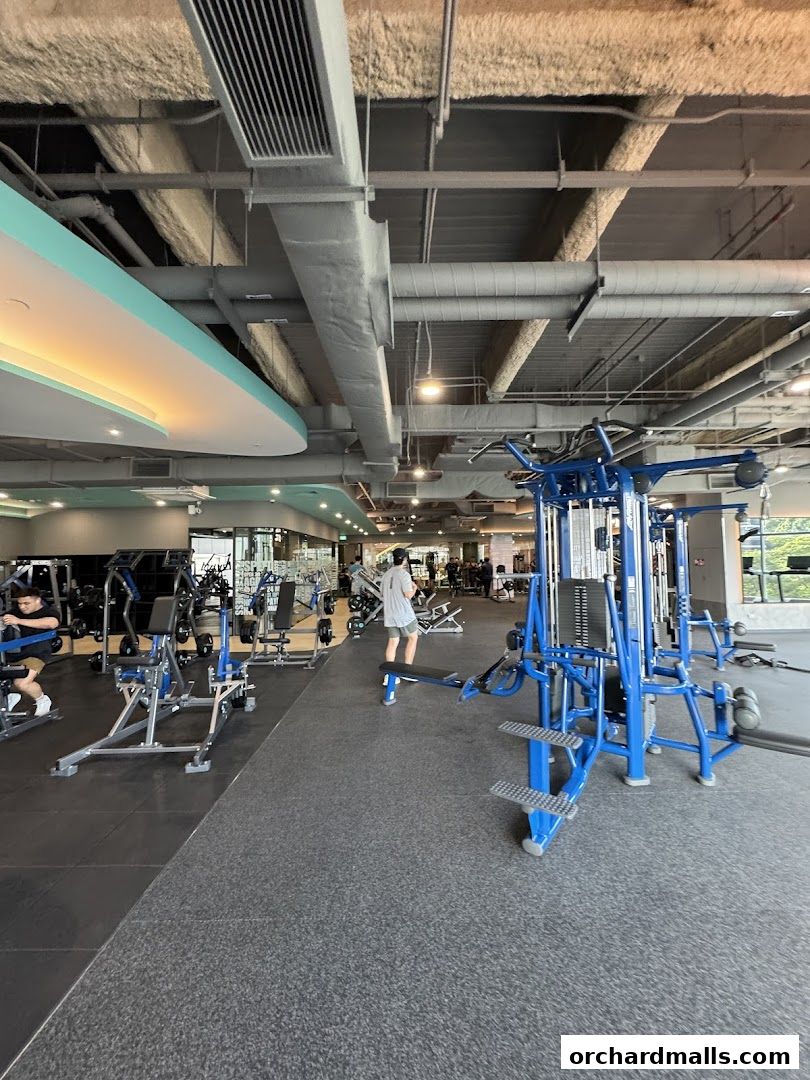 247 FITNESS The Cathay