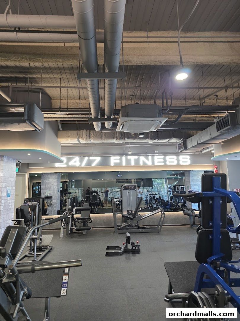 247 FITNESS The Cathay