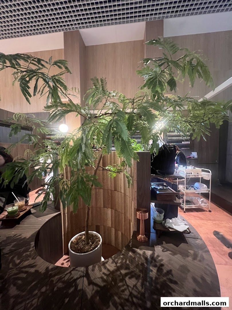 a slow cup  The Cathay