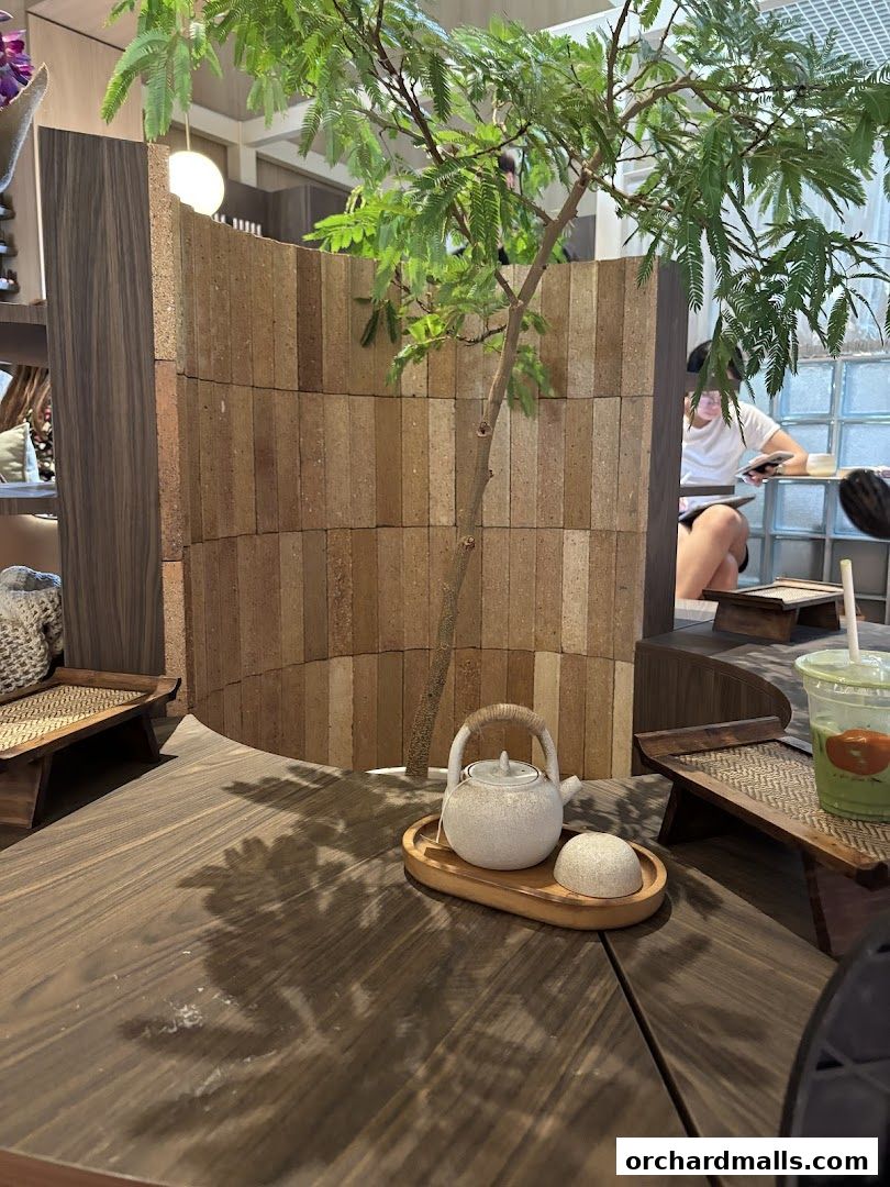 a slow cup  The Cathay