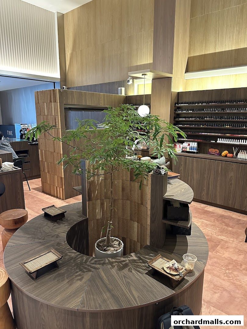 a slow cup  The Cathay