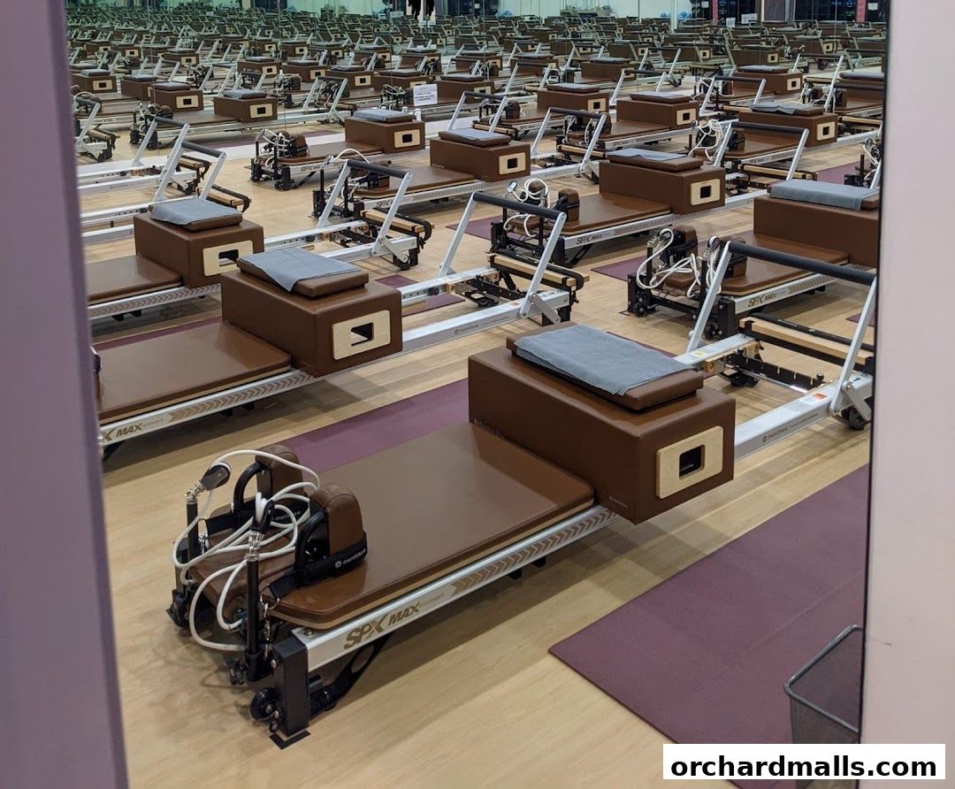 Absolute Boutique Fitness Studio  The Centrepoint