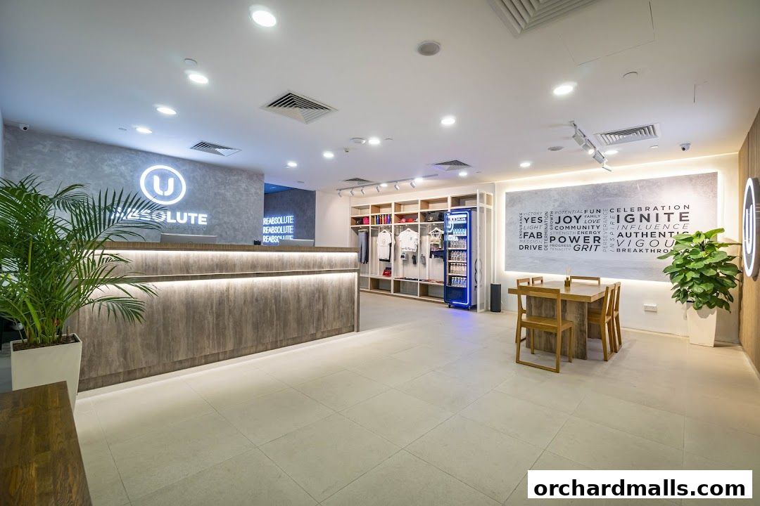 Absolute Boutique Fitness Studio  The Centrepoint