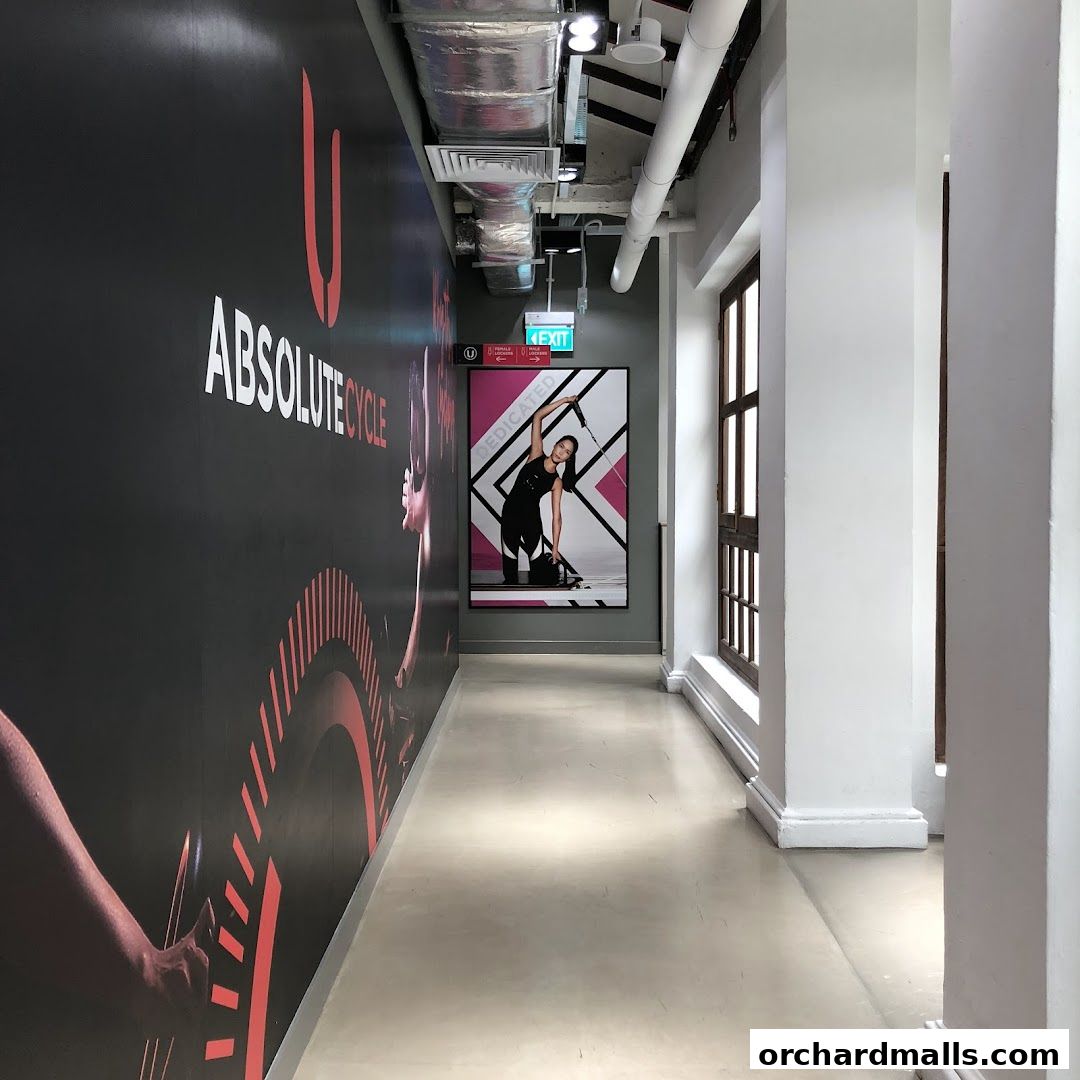 Absolute Boutique Fitness Studio  The Centrepoint