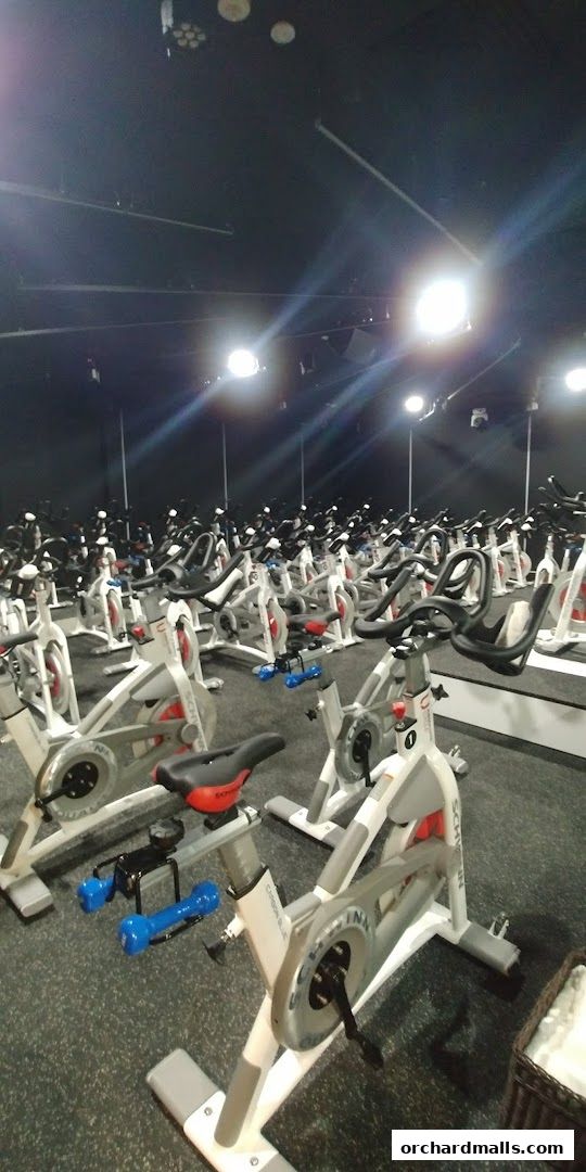 Absolute Boutique Fitness Studio  The Centrepoint