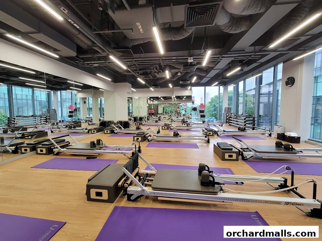 Absolute Boutique Fitness Studio  The Centrepoint
