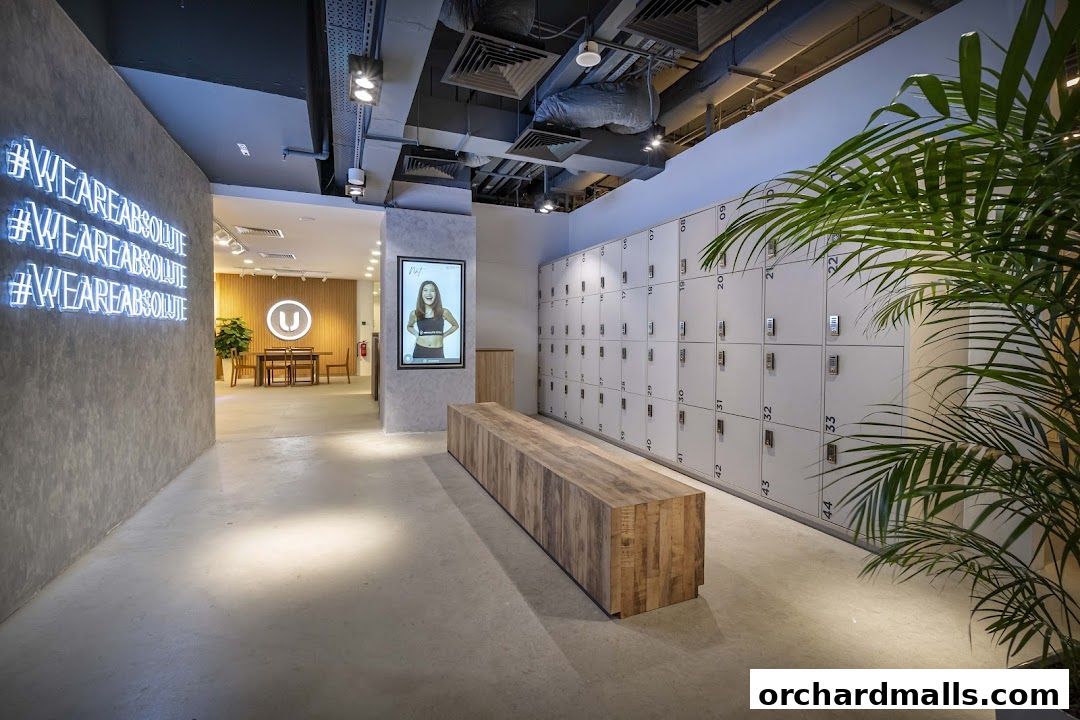 Absolute Boutique Fitness Studio  The Centrepoint