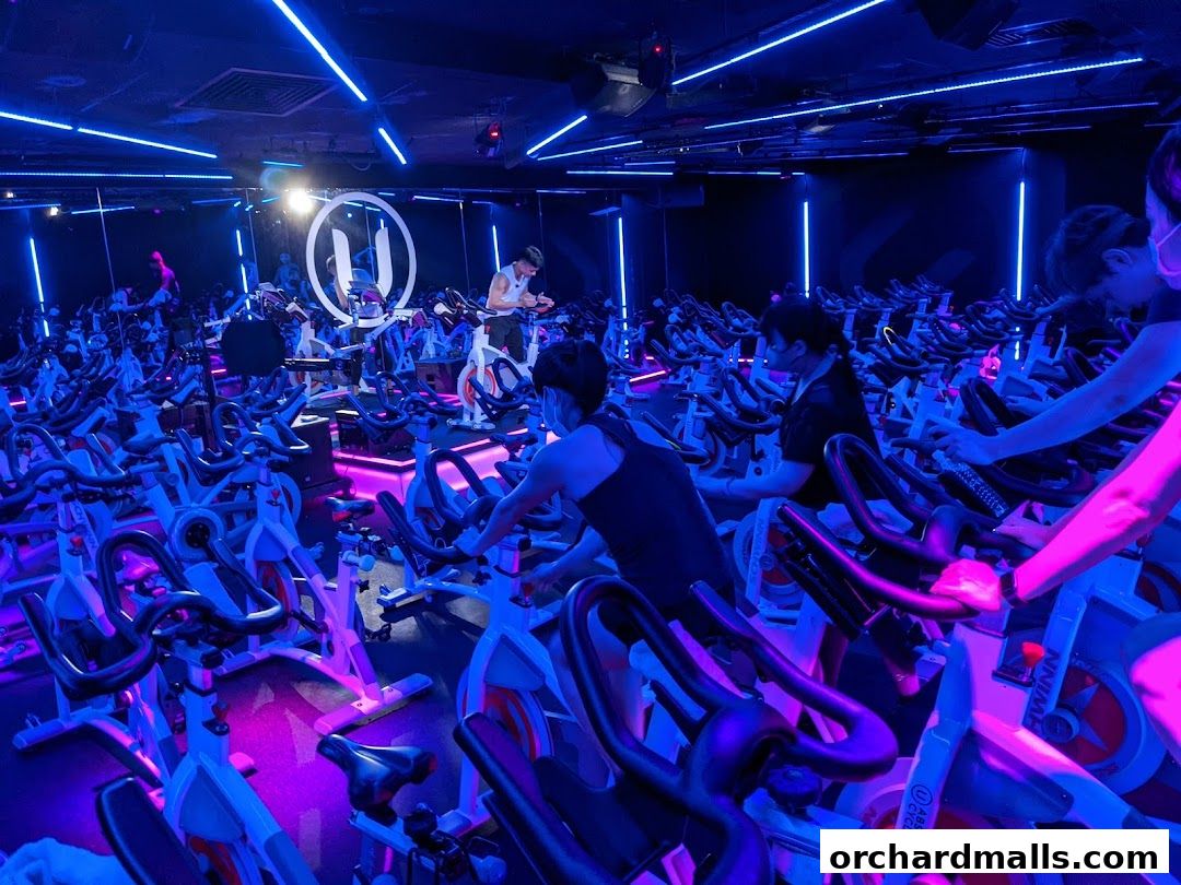 Absolute Boutique Fitness Studio  The Centrepoint