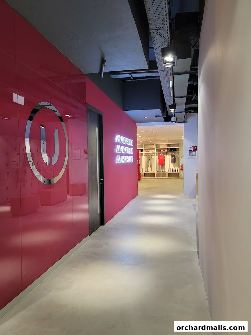 Absolute Boutique Fitness Studio  The Centrepoint