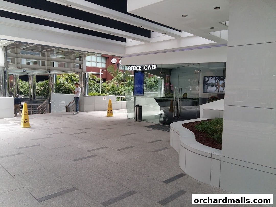 ActiveLife Chiropractic - Orchard