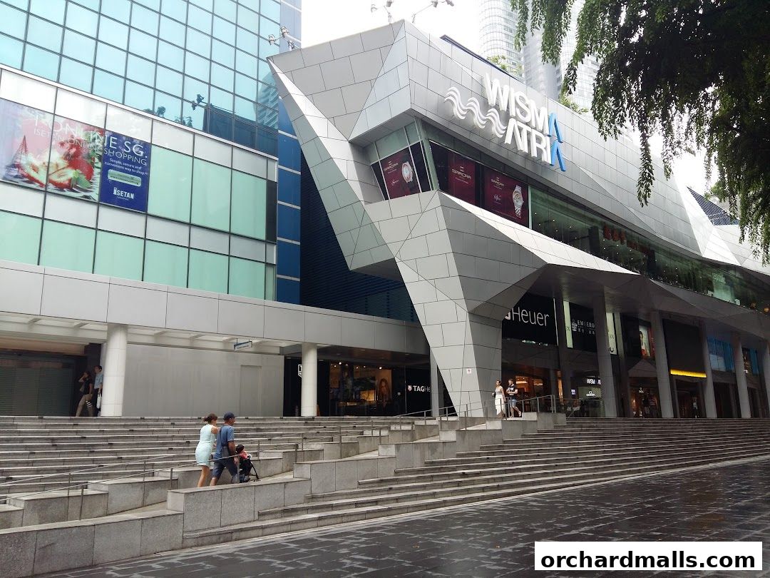 ActiveLife Chiropractic - Orchard