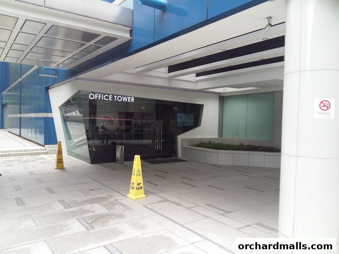 ActiveLife Chiropractic - Orchard