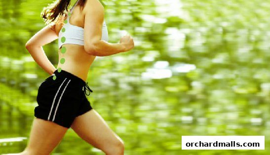 ActiveLife Chiropractic - Orchard