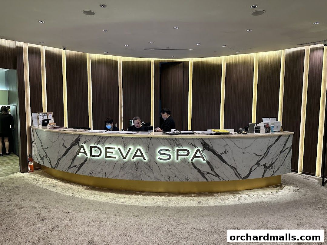 Adeva Spa - Paragon