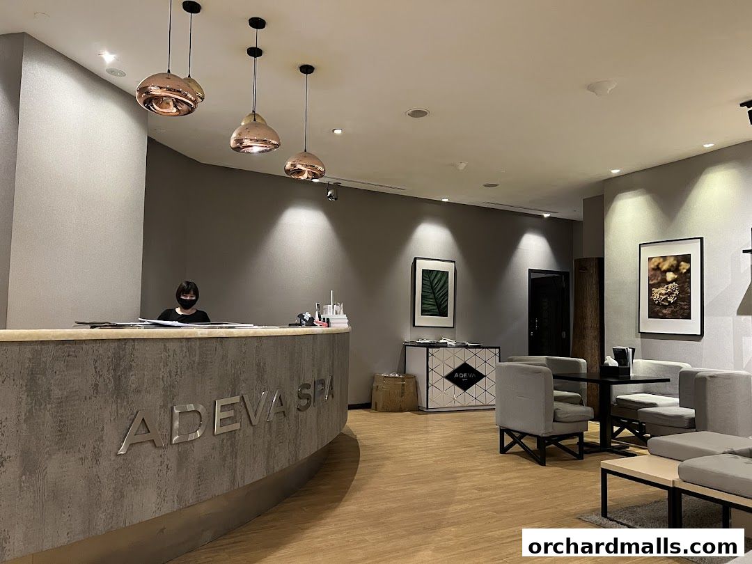 Adeva Spa - Paragon