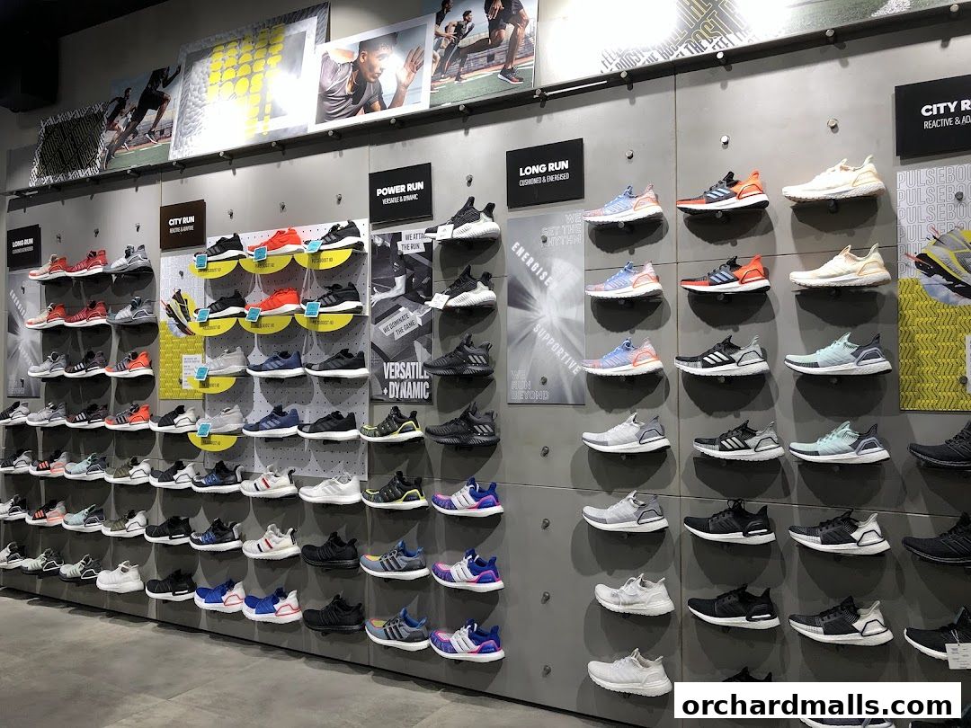 Wall display of Adidas running shoes categorized by running type.