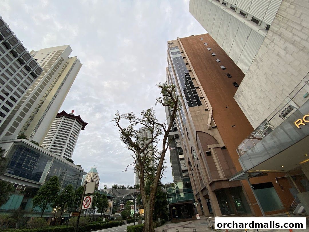 A street view of tall buildings and trees under a cloudy sky.