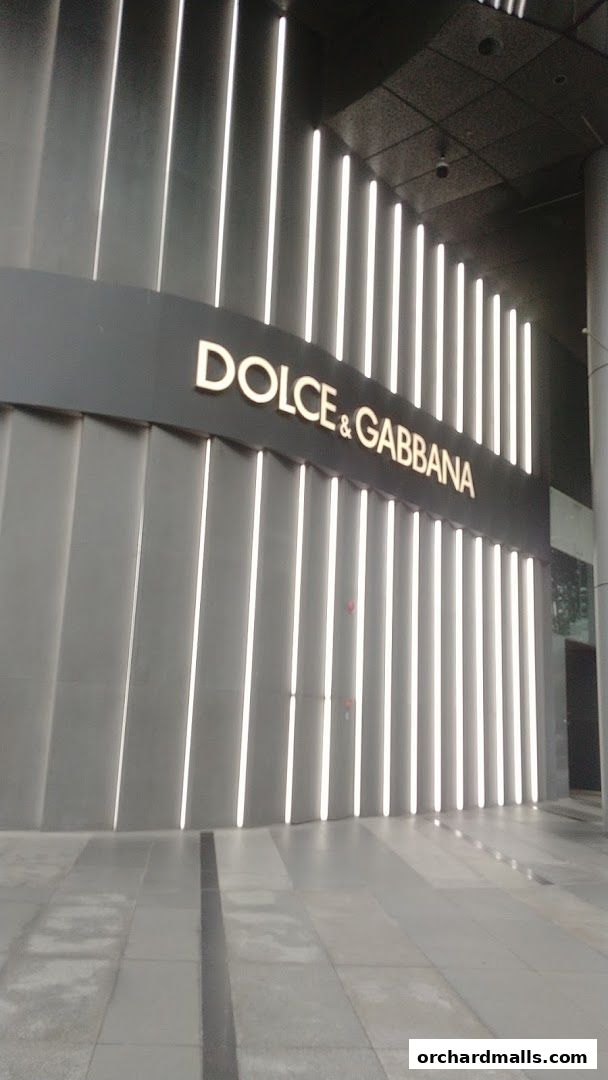 The exterior of a Dolce & Gabbana store with illuminated vertical panels.
