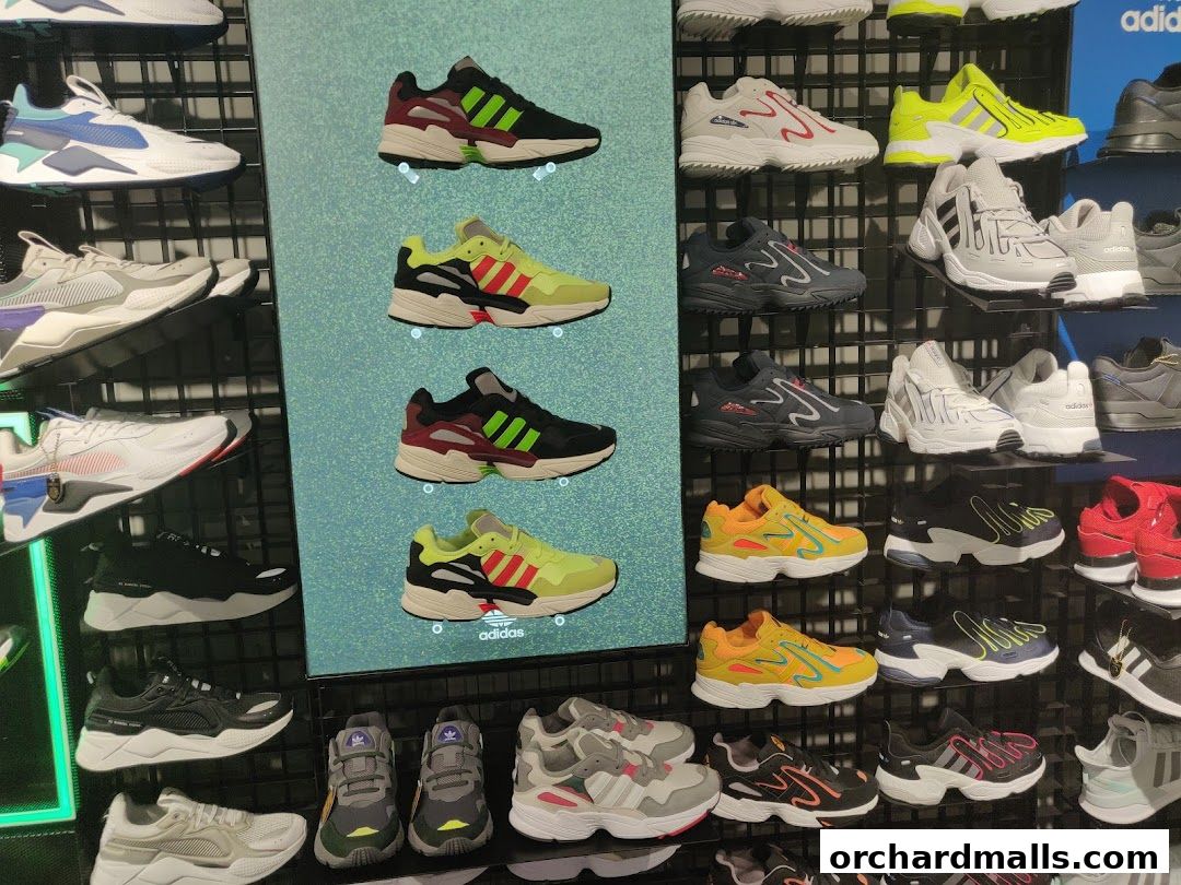 A wall display showcasing a variety of Adidas and Puma athletic shoes.
