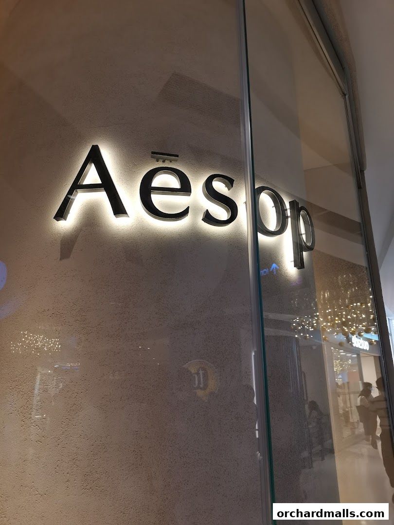 The illuminated Aesop logo is displayed on a textured wall next to a glass storefront.