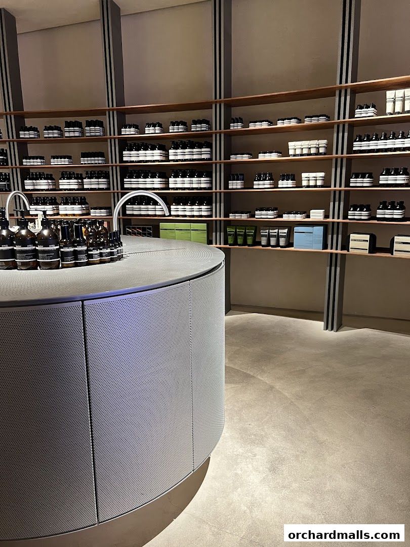 Interior of an Aesop store showcasing shelves stocked with skincare and body care products.