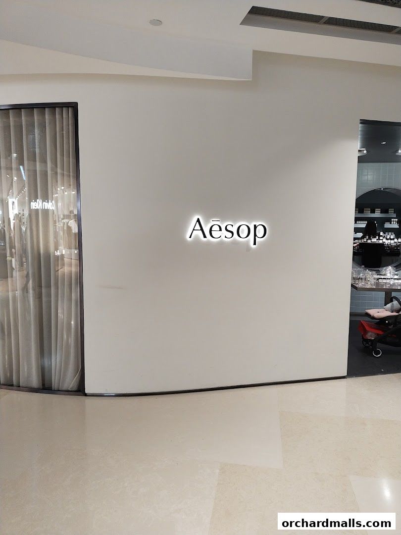 The illuminated Aesop logo is displayed on a clean, off-white wall next to a shop entrance.