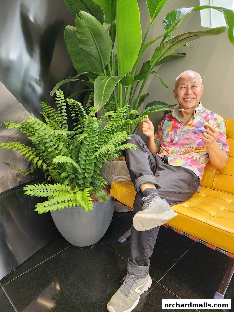 Aesthetic  Medical Clinic Dr Joseph YangOrchard