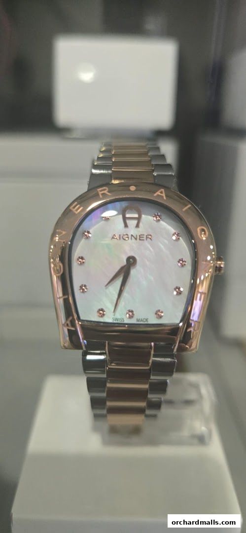 Aigner, Paragon