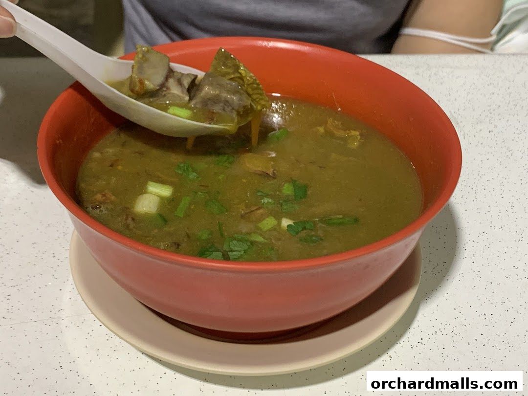 A close-up of a steaming bowl of soup with meat and green onions.